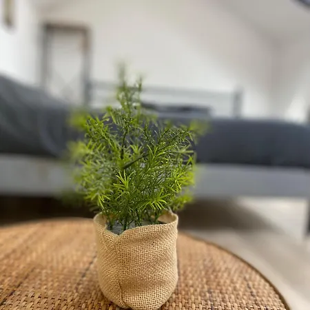 Apartamento Capstay Cassel