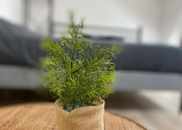 Appartement Capstay Cassel