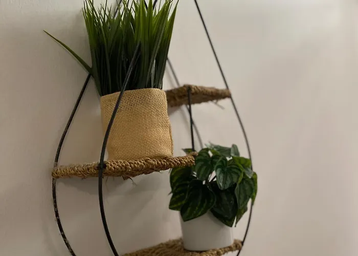 Appartement Capstay Cassel Roubaix