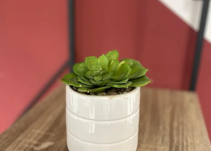 Appartement Capstay Cassel Roubaix